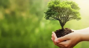 Cheat Sheet on Ecology: Understanding the Natural World for a Sustainable Future