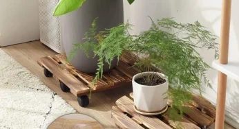 DIY: How to build a plant stand on wheels?